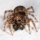 Image for article titled Shooting Challenge: Focus Stacking Gallery